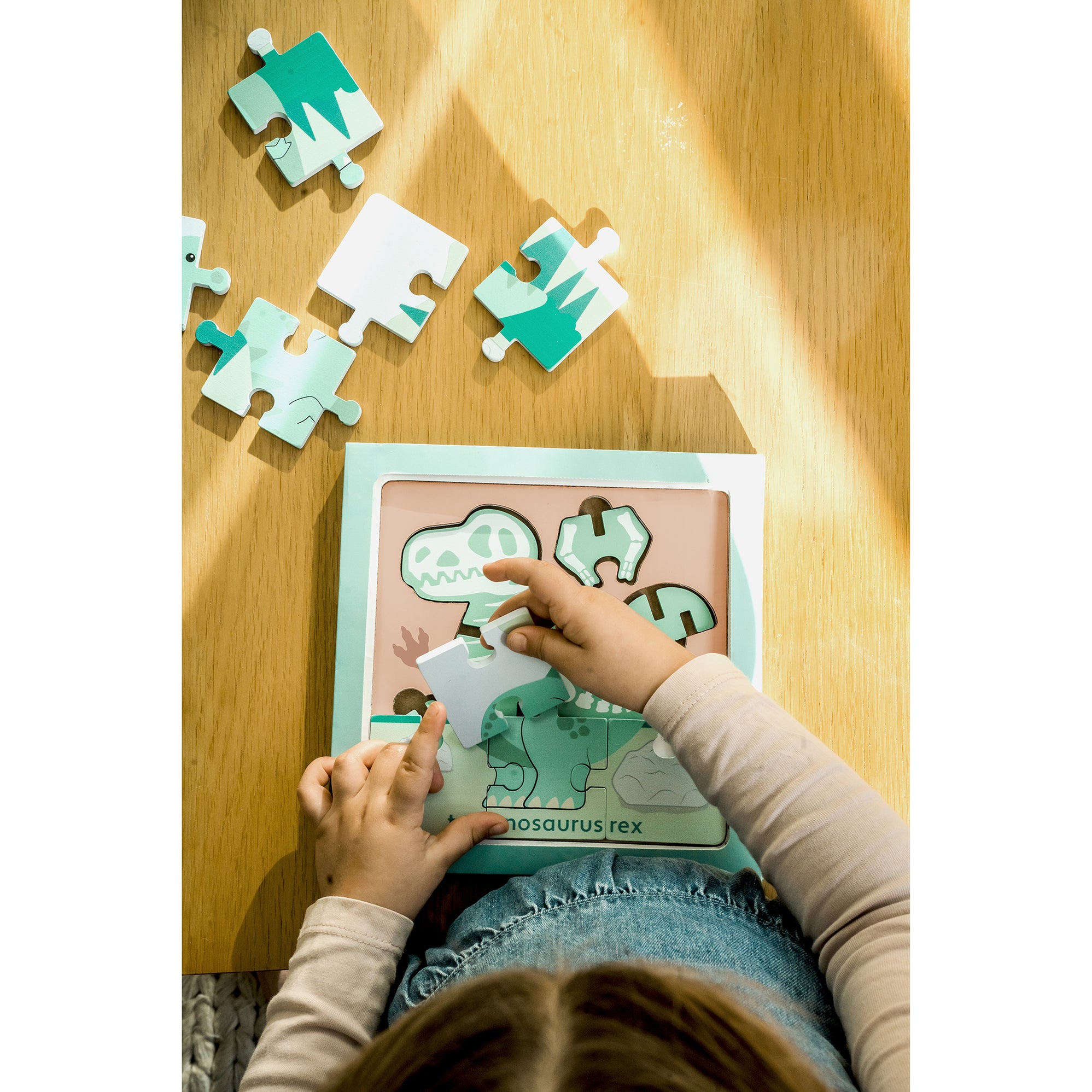 NEW T-Rex Dig - 3D Model & Puzzle– Orange Tree Toys