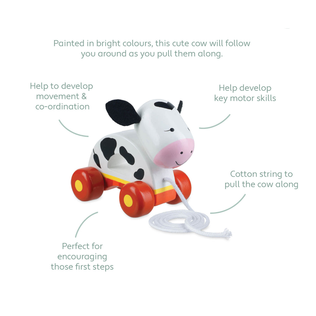 Pull string best sale farm animal toy